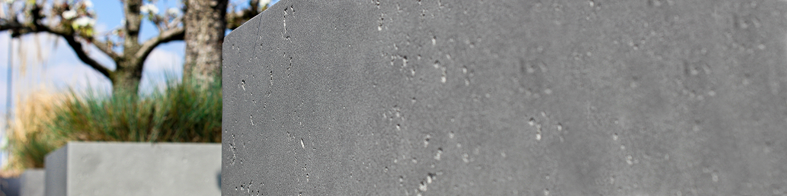 Vetra-Hero-Image-2-1600