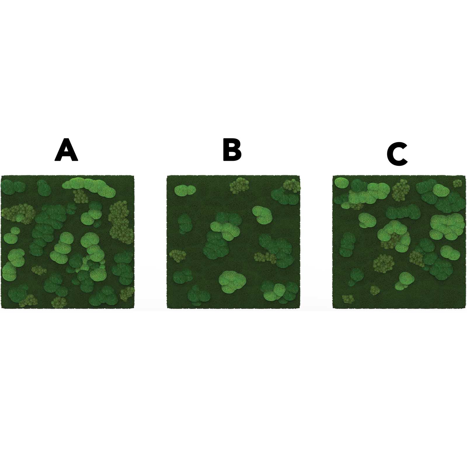 Organic Mix Features 1.1