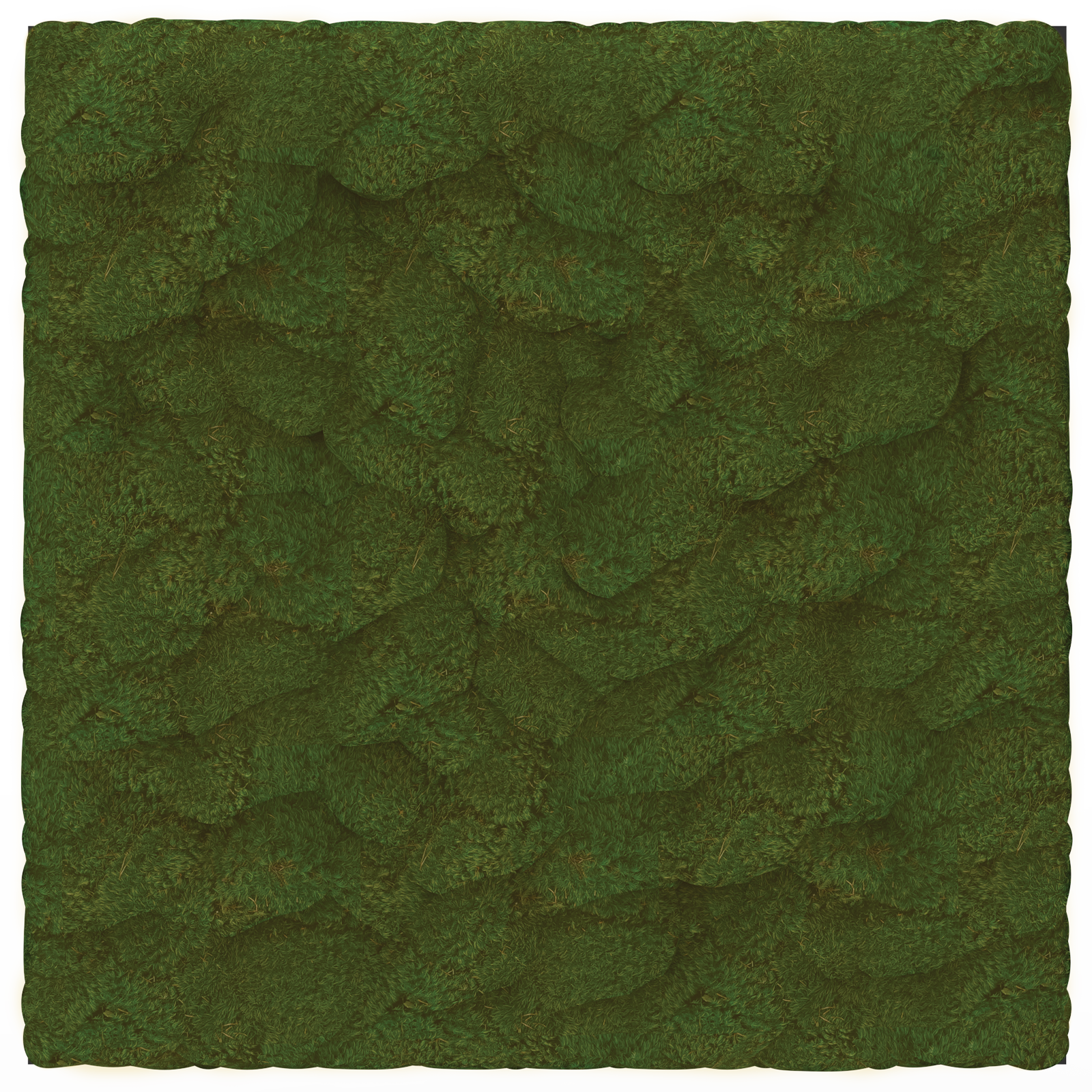 Signature Product Image Mood Moss
