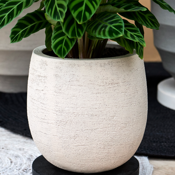 Ember planters from the Oterra family, styled outdoors with greenery.