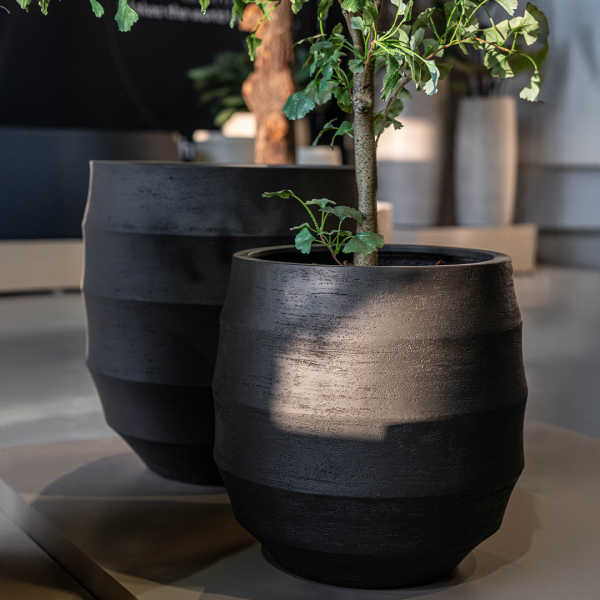Cove planters from the Strata family in Graphite finish, featured in an indoor installation with greenery.