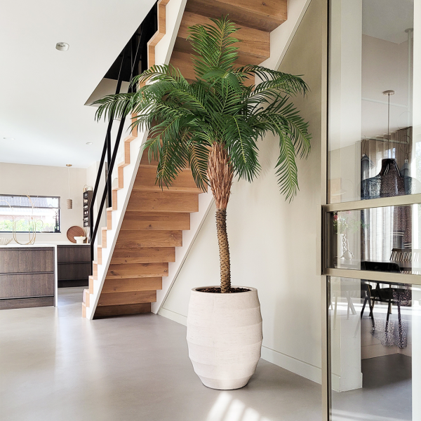 Cove - Tall - Image 4