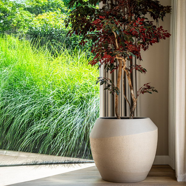 Rove planter from the Ardena family in Oat finish, styled indoors with greenery near a window.
