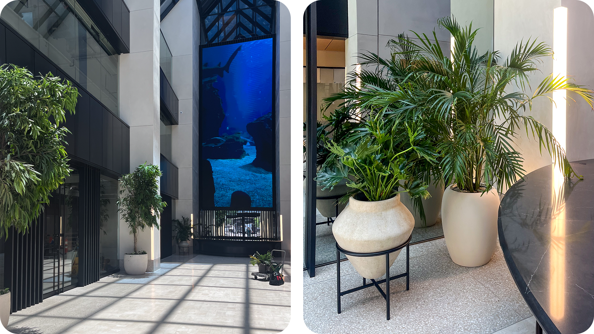 Modern planters with tall greenery in the atrium at 301 Congress in Austin, designed by Green Oasis to soften architectural lines and enhance shared spaces.