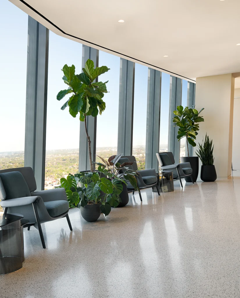 Modern interior planters with lush greenery in a lounge seating area at an Austin law firm.