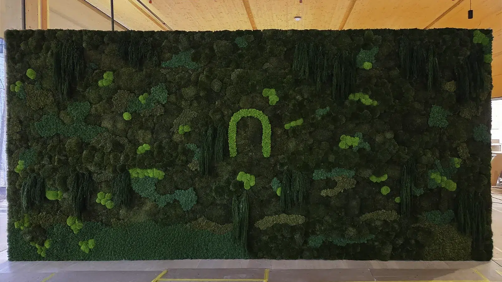 Rich moss and foliage composition on a surface