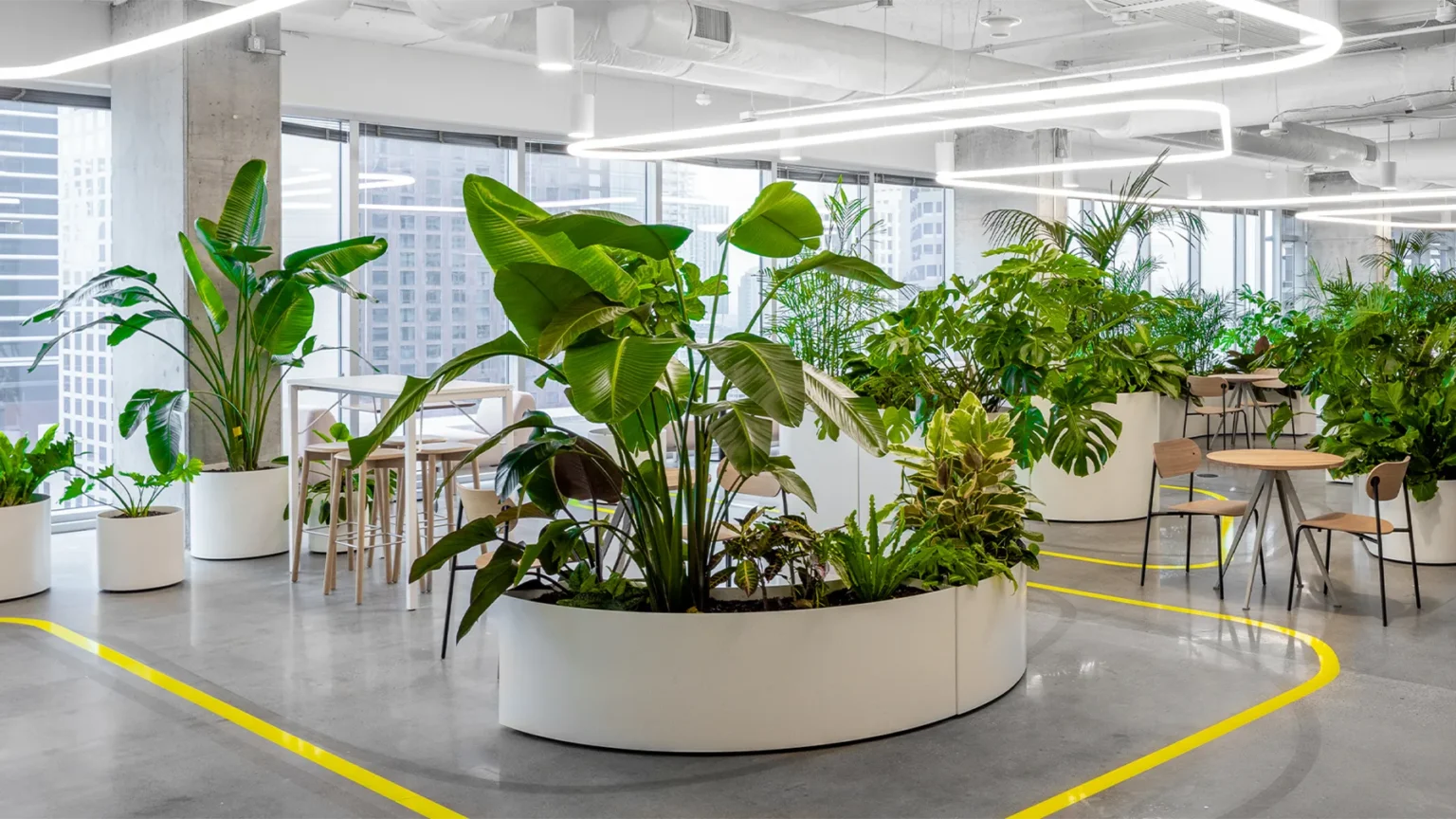 Green Design Assistance Miro Installation
