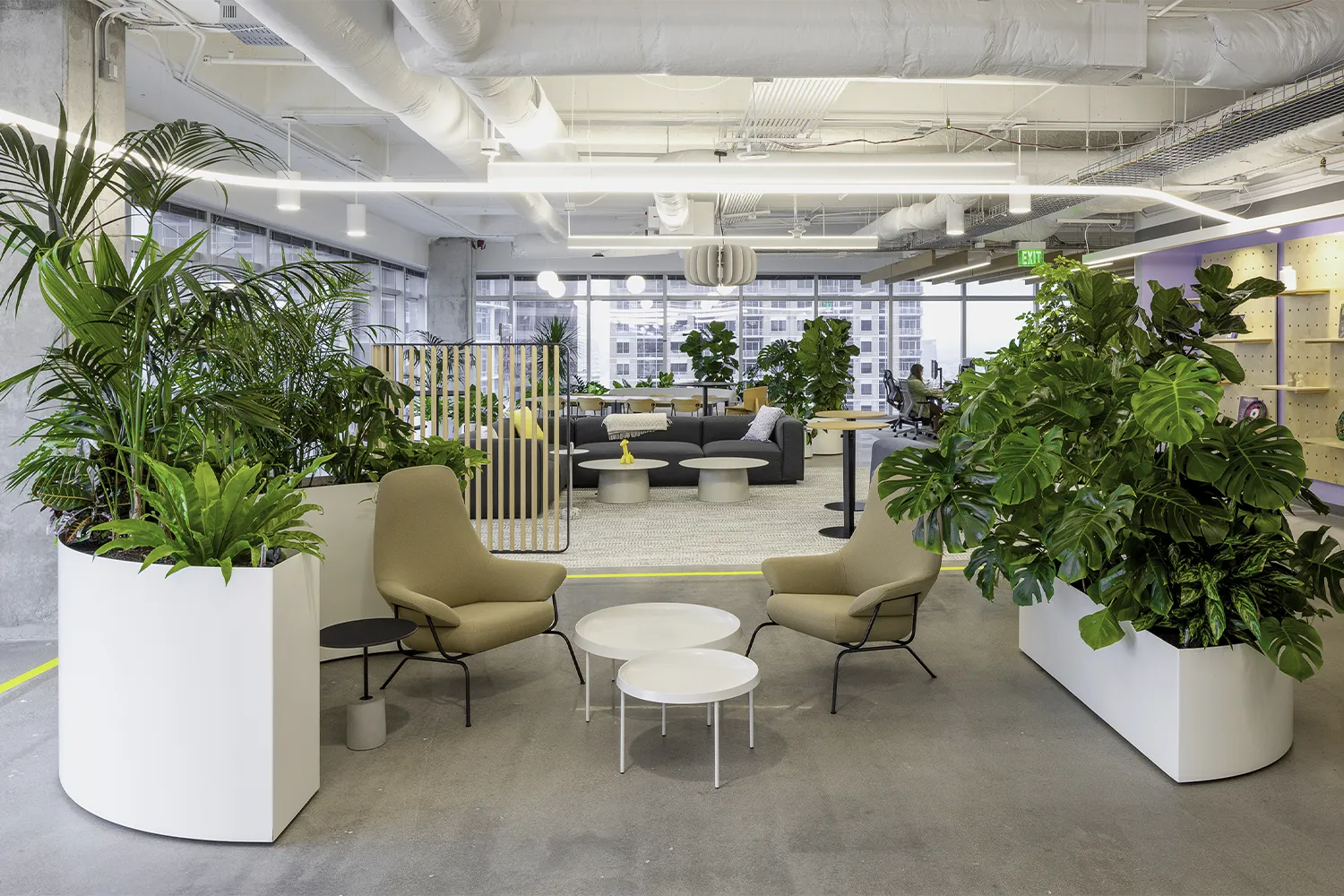 IPS Miro Workplace Lounge Area