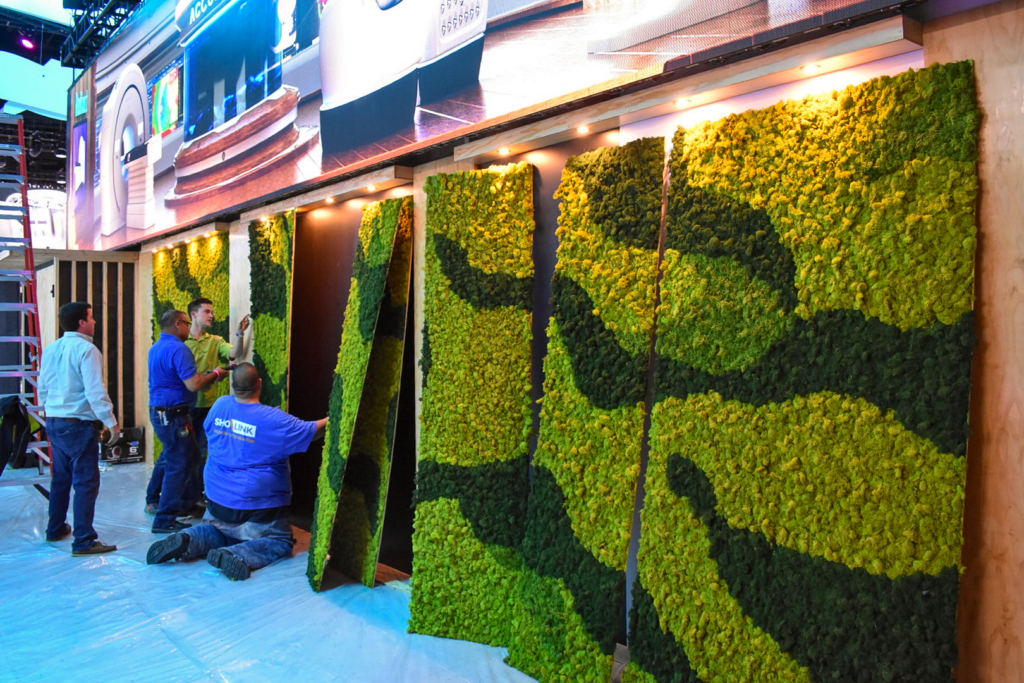 Moss Installation