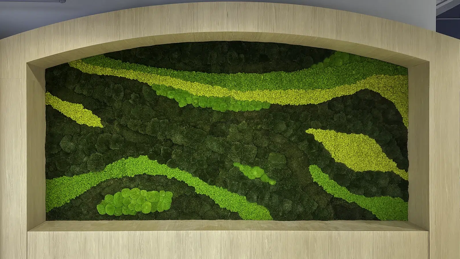 Moss growing in flowing organic patterns