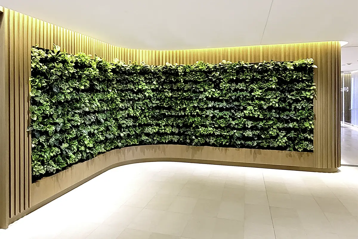 Curved POD Living Wall integrated into custom millwork for a confidential workplace project by Green Oasis.