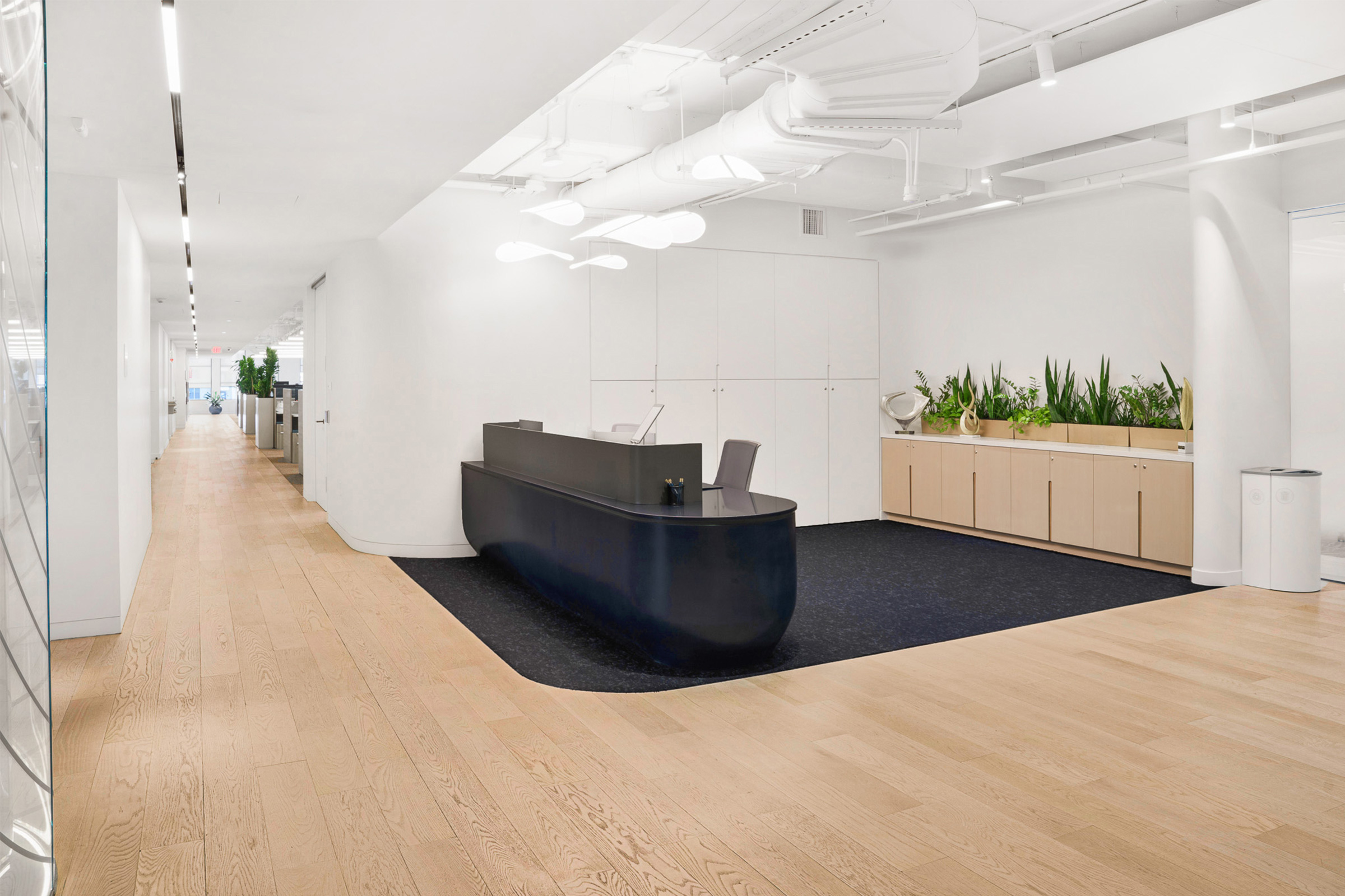 Austin workplace with custom greenery design.