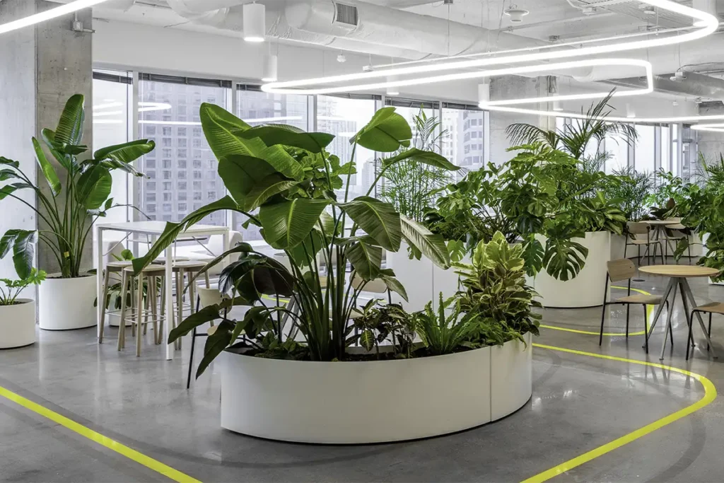 Miro Austin office biophilic design with mobile planters by Green Oasis