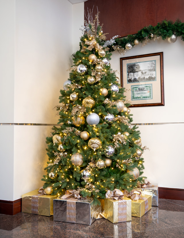 commercial-holiday-decor-marquee-9