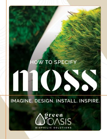 Green-Oasis-Moss-Brochure-2022 cover